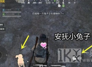 和平精英兔子在哪里刷 和平精英怎么刷兔子