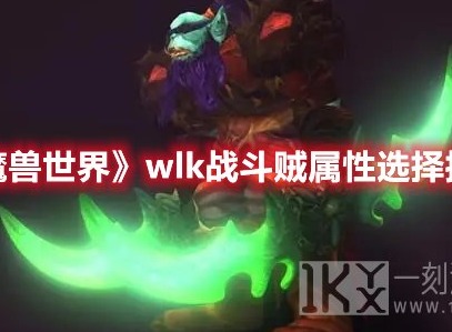 魔兽世界wlk战斗贼属性选择推荐 魔兽世界wlk战斗贼属性怎么选择