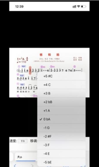 蜀哥电子琴曲谱系统