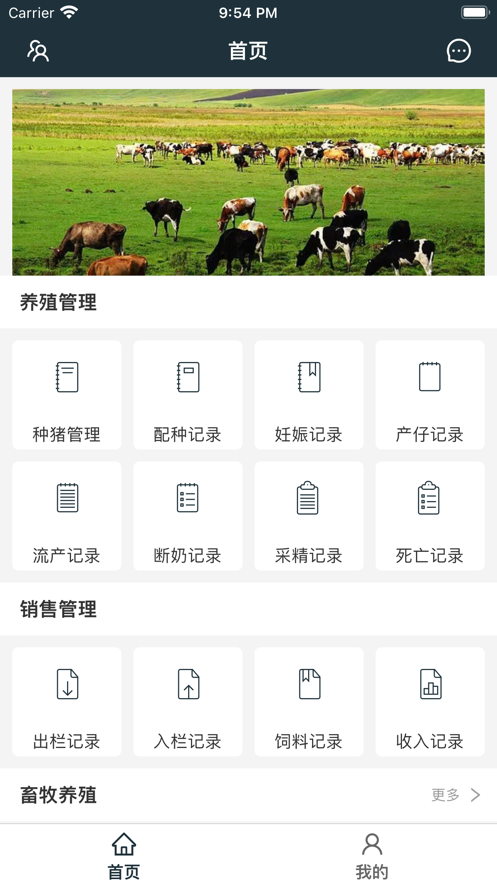 猪宝养殖
