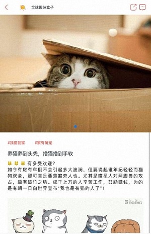 月月宝盒