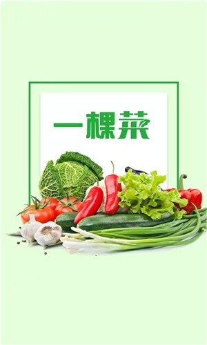 一棵菜