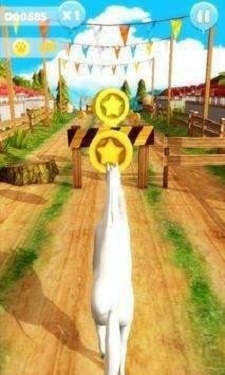 赛马奔跑