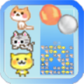 猫医生