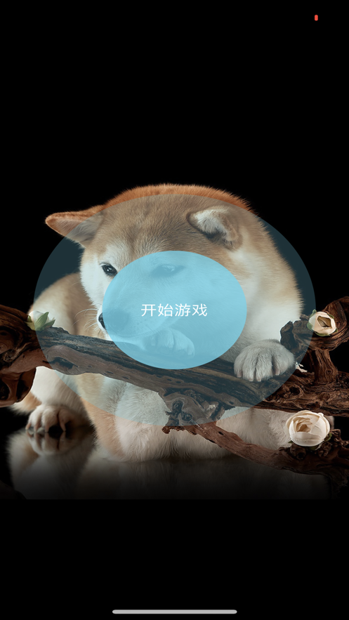 一张图片