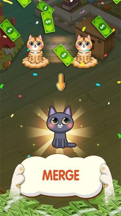 小猫家庭
