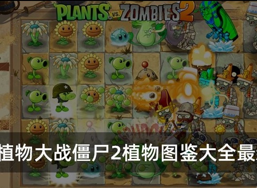 植物大战僵尸2植物图鉴 2023最新植物大战僵尸2植物图鉴