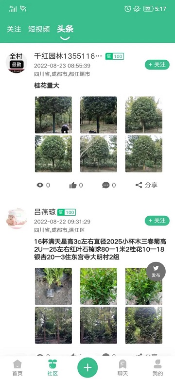树之道