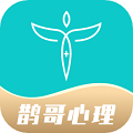 鹊哥心理