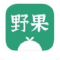 野果阅读书源