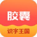拾光胶囊