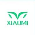 小米电动车