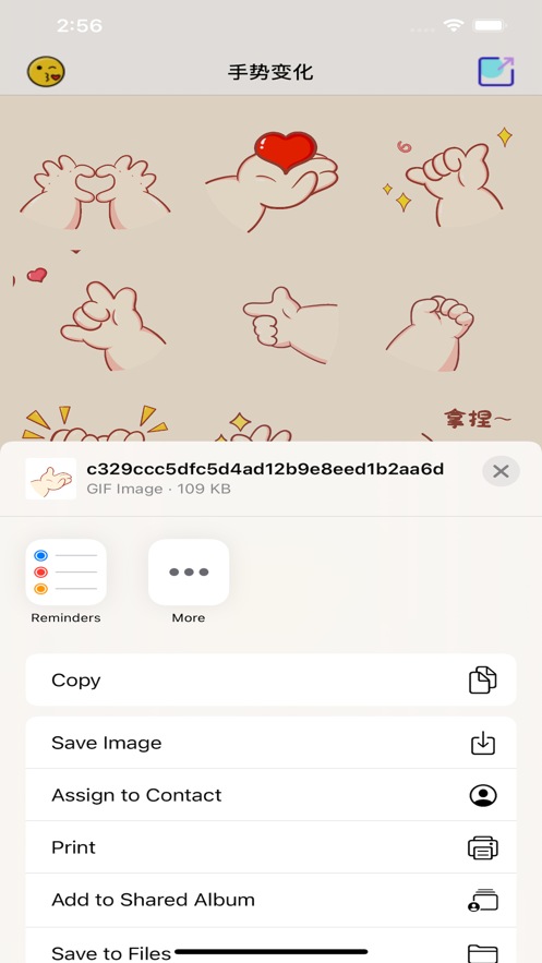 手势变化app