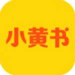 小黄书纯净版