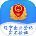 辽宁企业登记实名验证