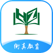 衡真电网