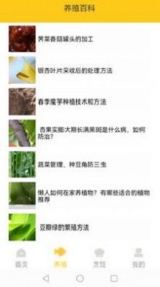 小院人家