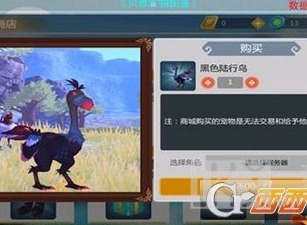 创造与魔法黑色陆行鸟速度多少 创造与魔法黑色陆行鸟介绍