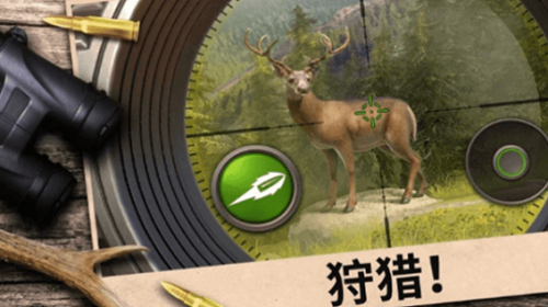 真实模拟打猎