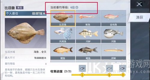 和平精英绿洲世界垂钓等级怎么提升 绿洲世界垂钓等级快速升级攻略[多图]图片4