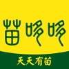 苗哆哆