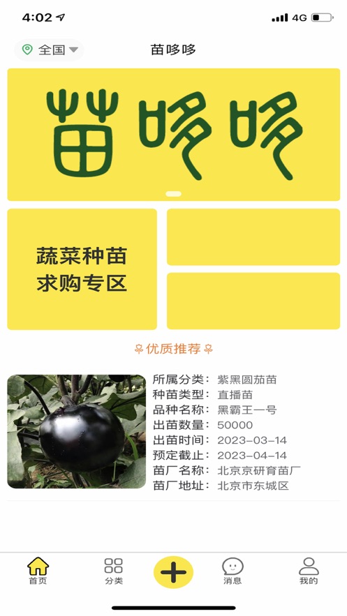 苗哆哆