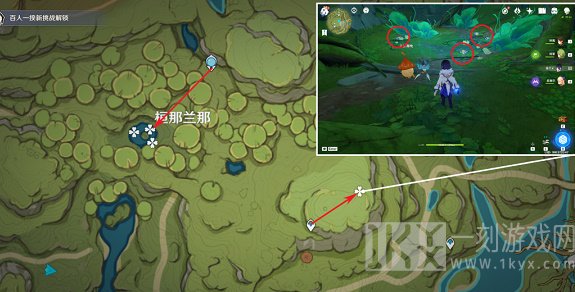 原神月莲在哪里采集 月莲采集路线图一览[多图]图片6