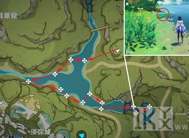 原神月莲在哪里采集 月莲采集地点路线图分享