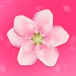 樱花草社区