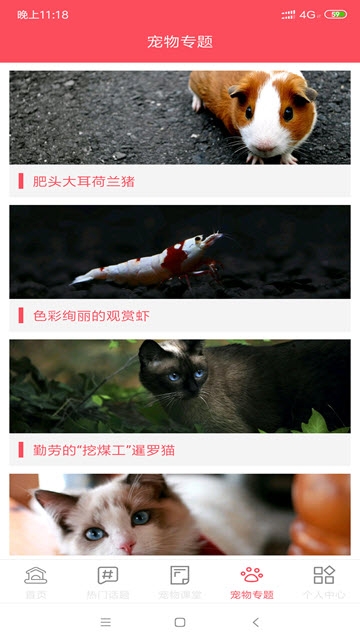 龙虎宠物帮