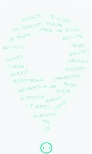 开车小蜜