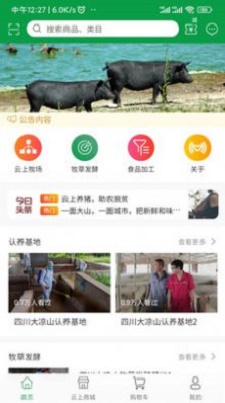 云上寻真