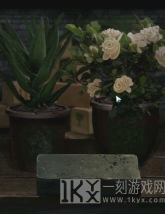阴阳锅2第一章攻略 第一章图文通关流程[多图]图片13