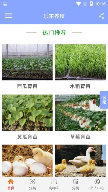 乐东养殖