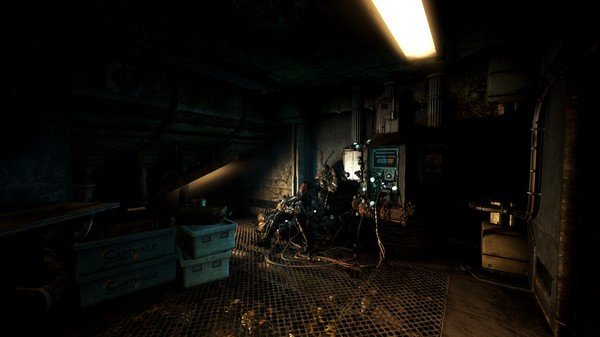 Soma