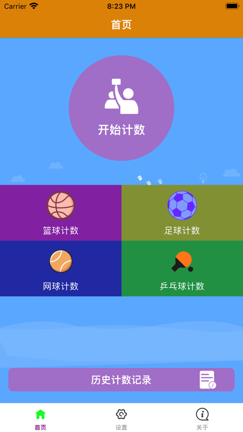 专业球类计数