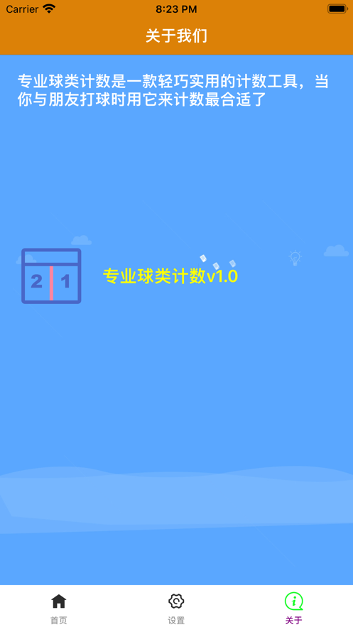 专业球类计数