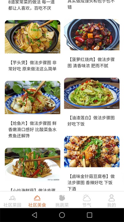 社区菜园子