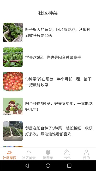 社区菜园子