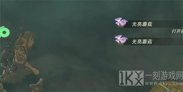王国之泪照亮洞窟的蘑菇任务怎么做 照亮洞窟的蘑菇迷你挑战任务攻略[多图]图片4