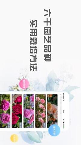 花信交友app