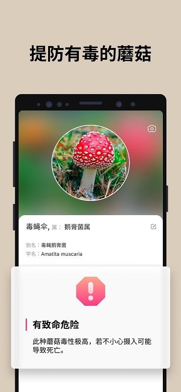 PictureMushroom
