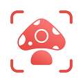 PictureMushroom