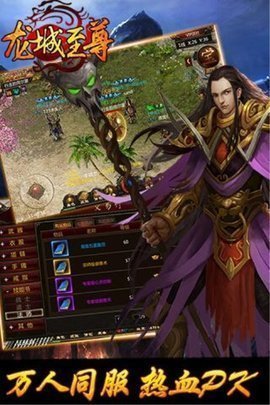 龙城至尊三职业