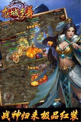 龙城至尊三职业