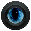 3d Scanner
