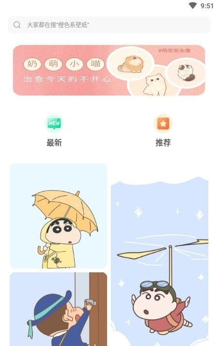 小王壁纸库