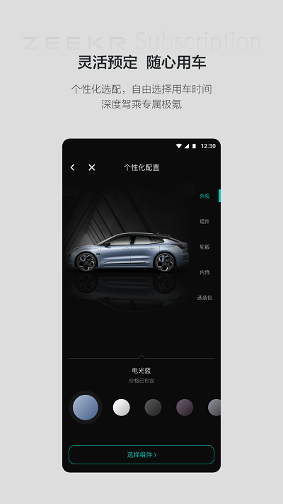 极氪订阅服务