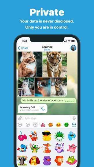 telegram小飞机交友app