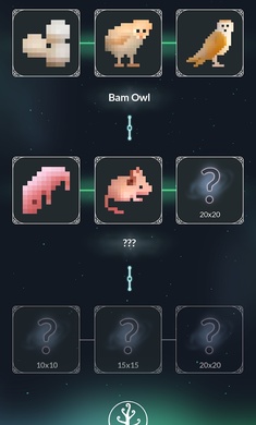 生命之彩